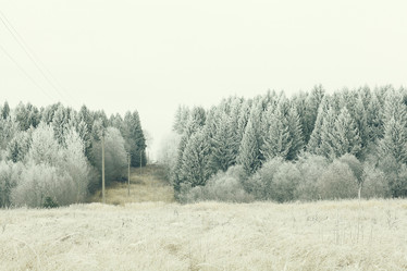 Similar image 10508572