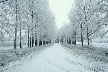 Similar image 10508573