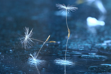 Similar image 10508600