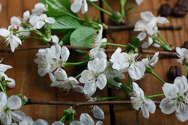 Similar image 10508604