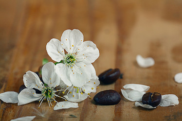 Similar image 10508605