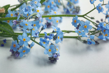 Similar image 10508624