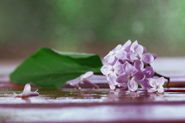 Similar image 10508627