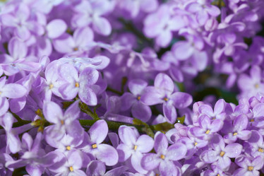 Similar image 10508628