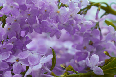 Similar image 10508632