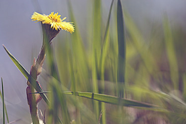 Similar image 10508639