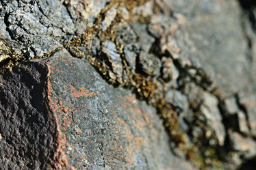 Similar image 10508641