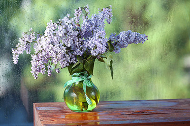 Similar image 10508644