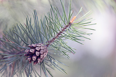 Similar image 10508646