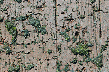 Similar image 10508648