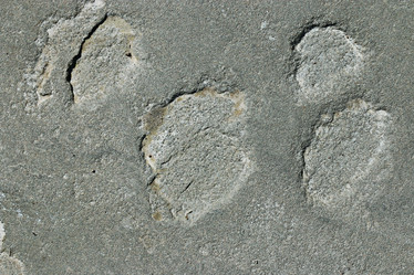 Similar image 10508650