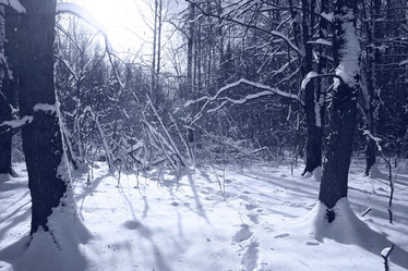 Similar image 10508656