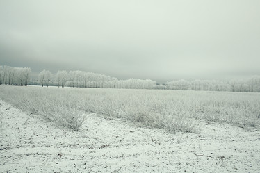 Similar image 10508669