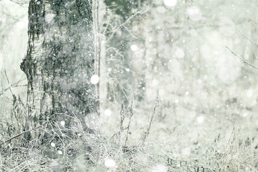 Similar image 10508671