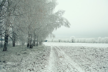 Similar image 10508672