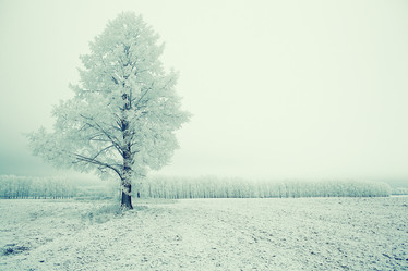 Similar image 10508674