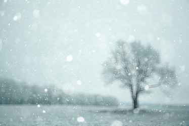 Similar image 10508675