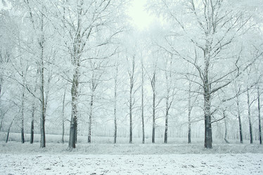 Similar image 10508676