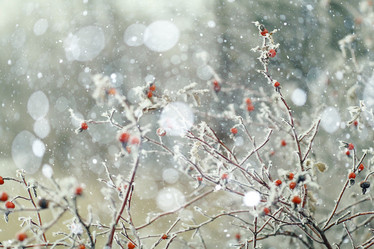 Similar image 10508678