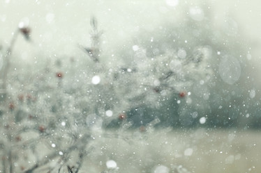 Similar image 10508679