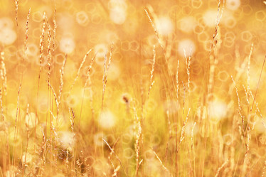 Similar image 10508685