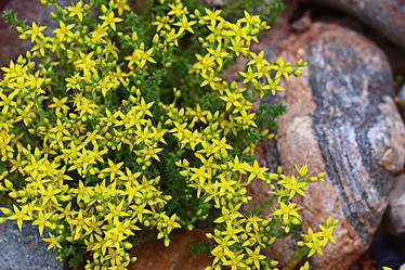 Similar image 10508690