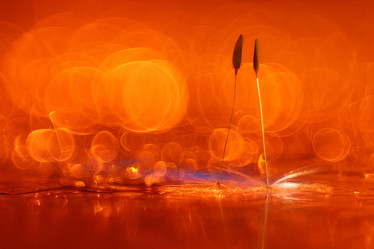 Similar image 10508691