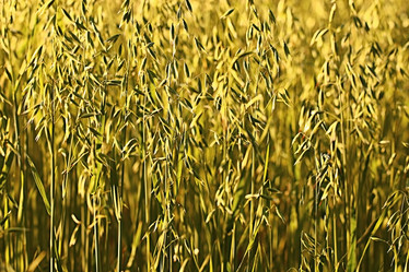 Similar image 10508694