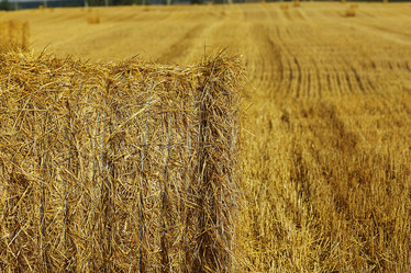 Similar image 10508695