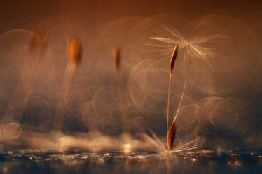 Similar image 10508697