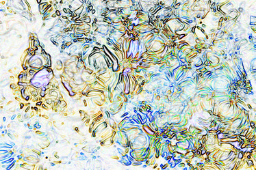 Similar image 10508704