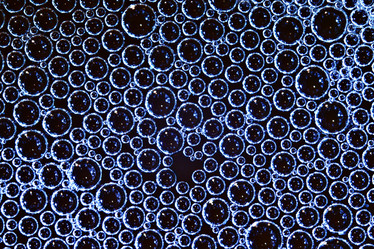 Similar image 10508707