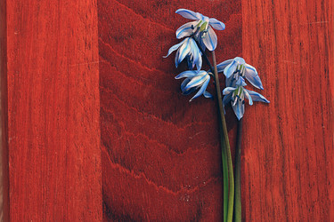 Similar image 10508711