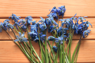 Similar image 10508712