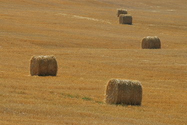 Similar image 10508713