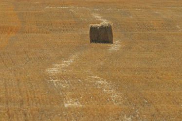 Similar image 10508724