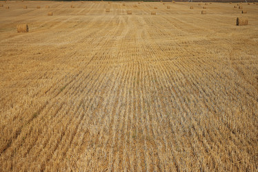 Similar image 10508726