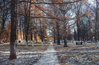 Similar image 10508730