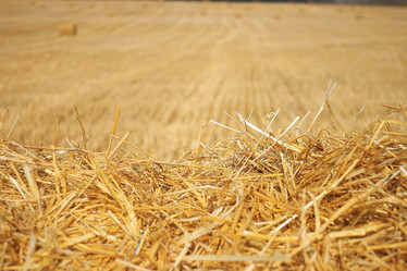 Similar image 10508734