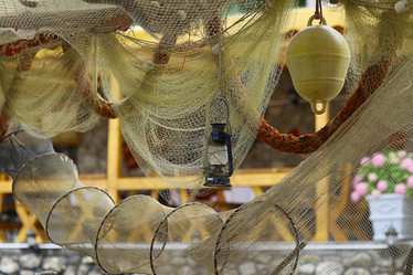 Similar image 10508735