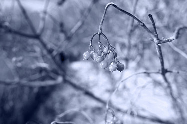 Similar image 10508740