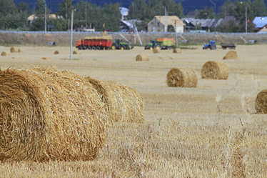 Similar image 10508743