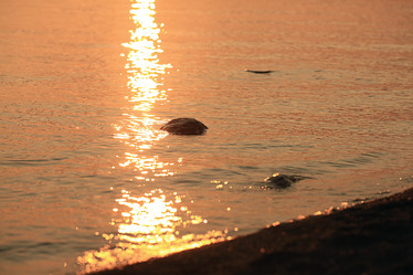 Similar image 10508744