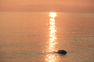 Similar image 10508745