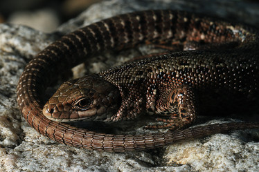 Similar image 10508750