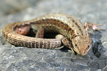 Similar image 10508751