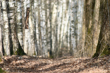 Similar image 10508753