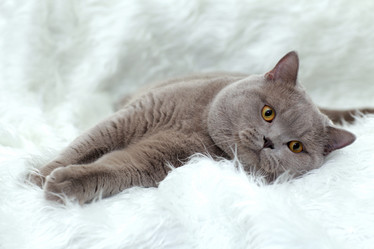 Similar image 10508755