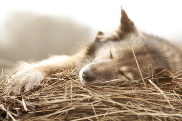 Similar image 10508764