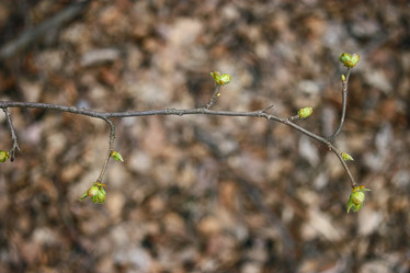 Similar image 10508774